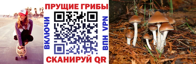 наркотики  Котельники  Псилоцибиновые грибы ЛСД 
