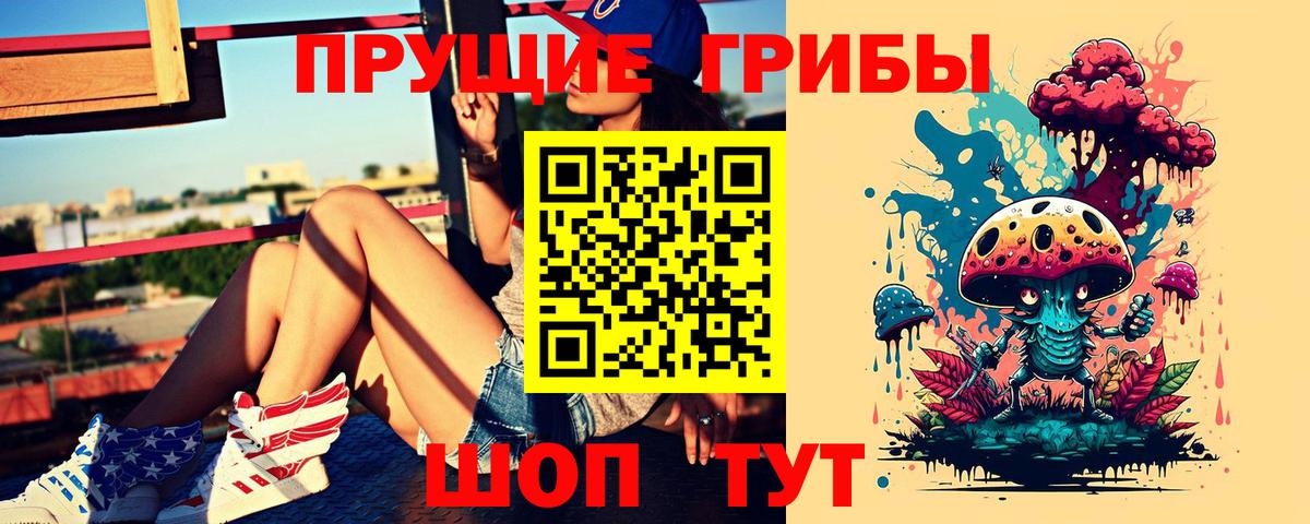 Псилоцибиновые грибы Psilocybine cubensis Котельники