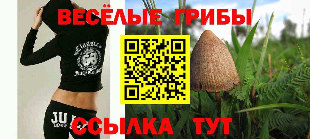 Котельники  Галлюциногенные грибы Cubensis  Галлюциногенные грибы GOLDEN TEACHER  Вход с VPN 